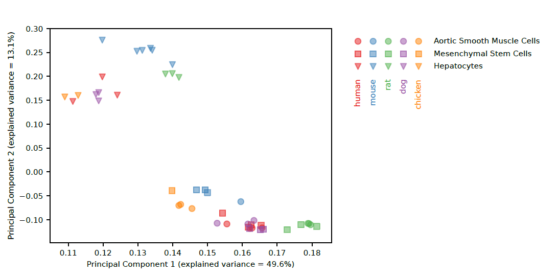 Comparative transcriptomics of primary cells in vertebrates