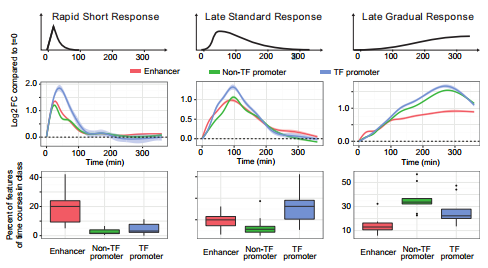 A figure of the FANTOM5 phase 2 paper