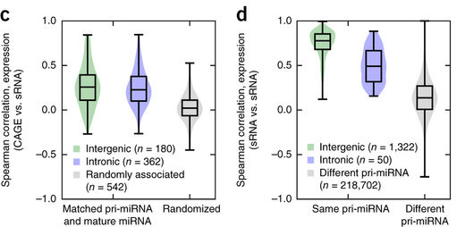 A figure of the FANTOM5 miRNA atlas paper