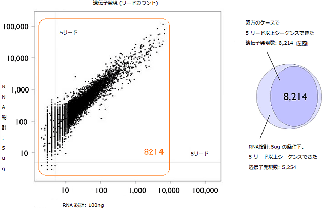 図3  RNA 総計が 5マイクログラム の場合と100ナノグラムの場合の遺伝子発現の比較