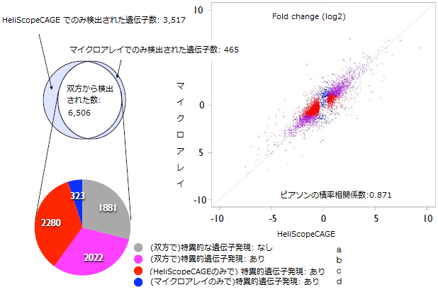 図4  HeliScopeCAGE法とマイクロアレイにおける特異的遺伝子発現の比較