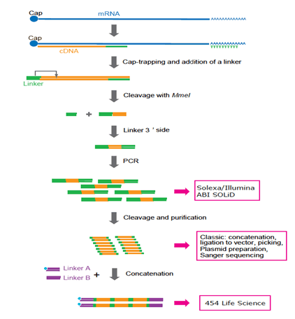 fig03