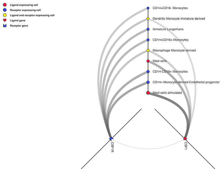 Cell Connectome Visualization